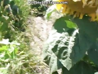 MD  Amateur in Sunflower filed